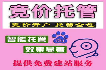 百度推广费用效益：案例对比分析
